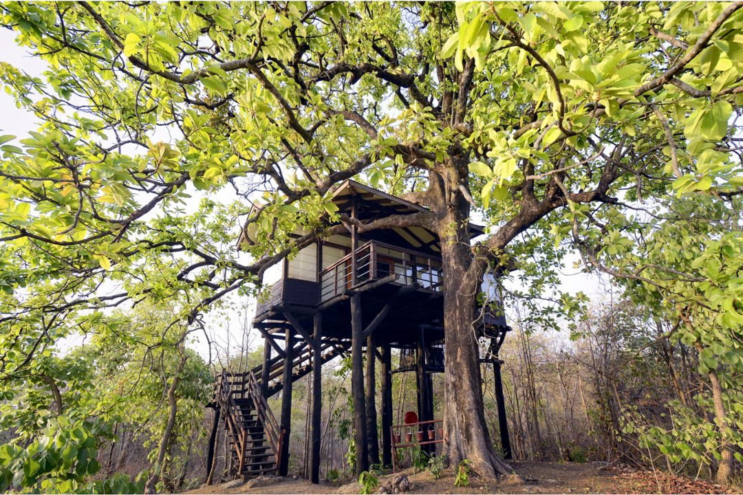 The Treehouse Cottage